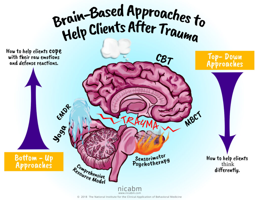 child brain development